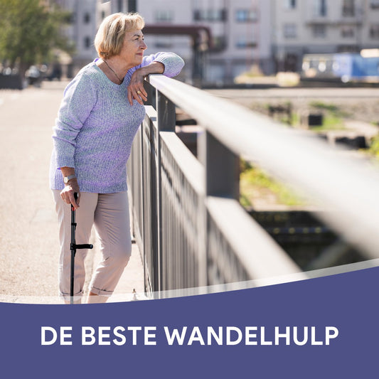 Multifunctionele wandelstok